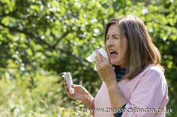 7 Hay Fever tips as pollen bomb set to hit parts of the UK
