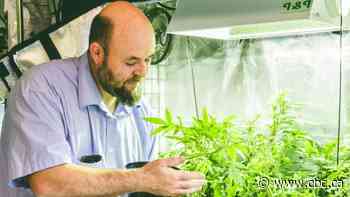 Cannabis cultivation expert says Sask.'s support of Quebec ban on homegrown pot plants 'concerning'