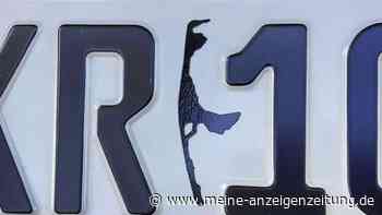 Ballerina oder Känguru? Welcher Auto-Aufkleber häufig missinterpretiert wird