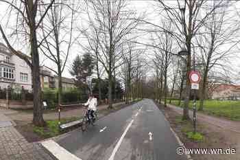 Dürre und Massenbetrieb setzen Bäumen zu