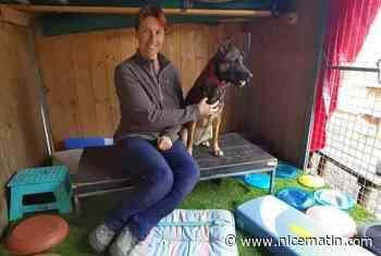 Pour que les chiens vieillissent mieux, cette éducatrice propose du Pilates canin à Mougins