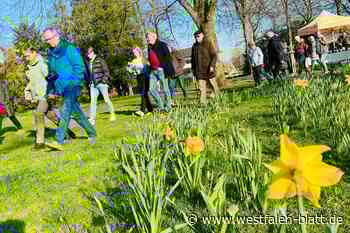 Lese-Spaziergang im Frühlingserwachen