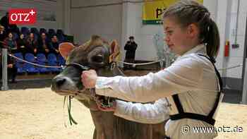 Laasdorf: Rinderzüchter in ihrem Element