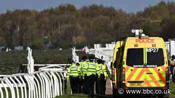 Grand National: BHA condemns protests & announces analysis of horse deaths