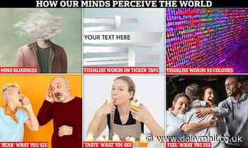 Different ways our minds perceive the world - from seeing words on ticker tape to being 'mind blind'