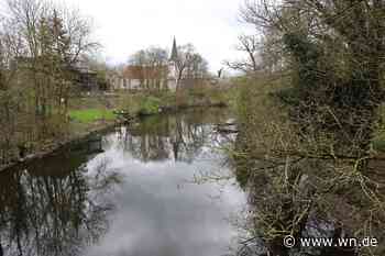 Wochenlanger Regen hilft der Natur nur bedingt