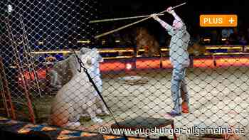 Tierdompteur zeigt im Circus Krone in Ulm, wie er mit Löwen trainiert