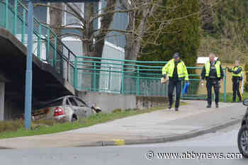 VIDEO: Driver dies after crashing into pedestrian overpass in Langley