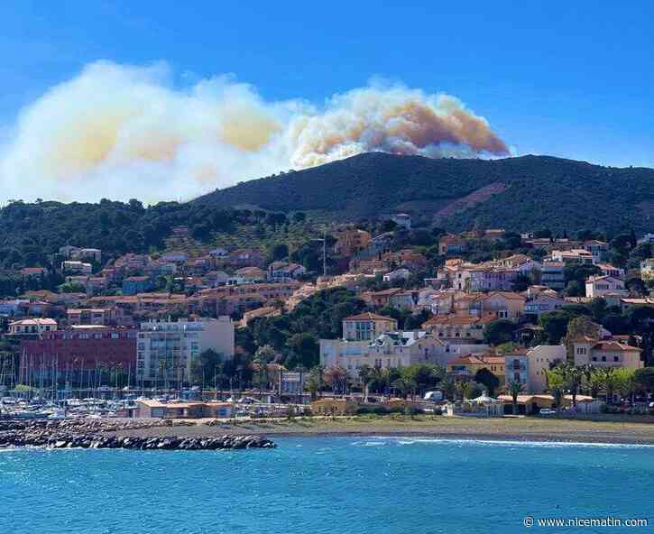 Hectares ravagés, pompiers mobilisés... On fait le point sur l'énorme incendie survenu ce dimanche dans les Pyrénées-Orientales