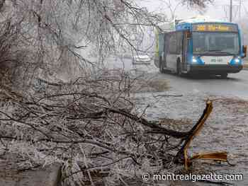 Québec solidaire wants to create an emergency fund for extreme weather events
