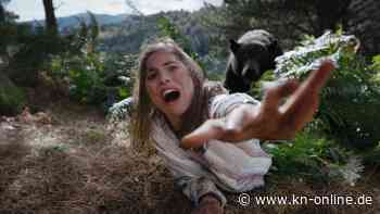 „Cocaine Bear“ im Kino: Blutig und brüllkomisch