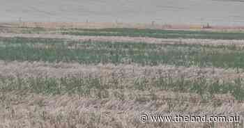 Every drop counts - dry times more common than wet