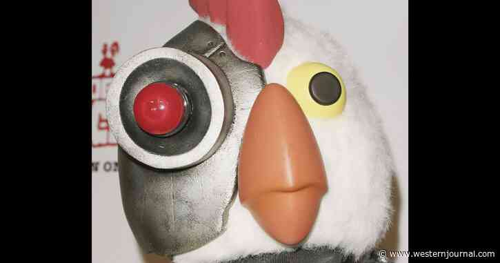Birds Aren't Real? Wild Conspiracy Theory Given New Life After School Reveals It's Converting Birds Into Drones