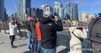 New bird watching program in Calgary’s East Village aims to kill two birds with one stone