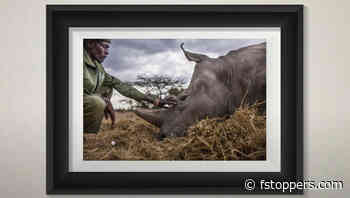 A Look at How to Sell Photo Prints in 2023