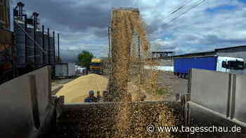 Ukrainisches Getreide: EU kritisiert Importstopps Polens und Ungarns