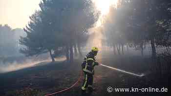 Waldbrand in Südfrankreich: Wind behindert Löscharbeiten