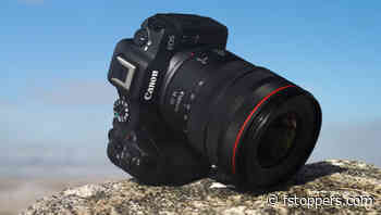 How Good Is the Affordable Canon EOS R8 Full Frame Mirrorless Camera?