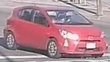 Woman, 69, killed in hit and run in Etobicoke