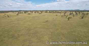 Highly regarded Fletchers Awl hits the market