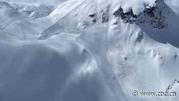 Snowmobiler dead after being caught in avalanche near Invermere, B.C., says Avalanche Canada