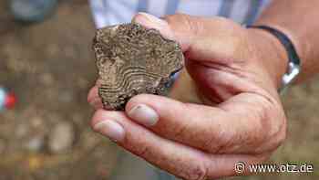 Kommentar zu Grabungen in Jena und Dornburg: Skepsis wird zu Stolz