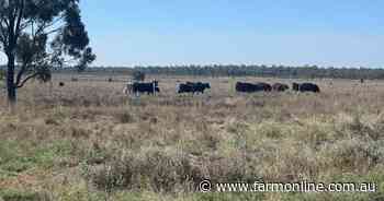 Well located western downs country offers handy access