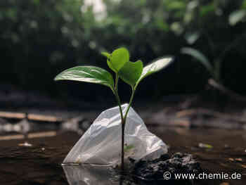 Chemiker entwickeln biologische PHAs neu und träumen von biologisch abbaubaren Kunststoffen