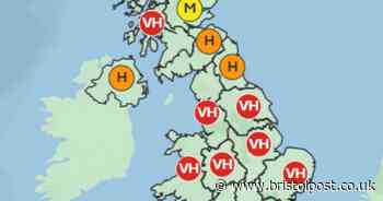 Met Office predicts 'pollen bomb' meaning hay fever sufferers will have miserable start to the week