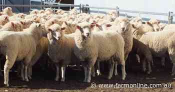 Easter NMI returns to New Year levels