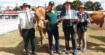 Fernbrook claim senior champion Guernsey title