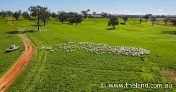 Palgrove property expected to top $55 million