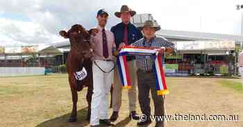 Kangawarra go home with two Sydney Royal champion titles