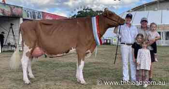 Holstein's 'aawesome' victory