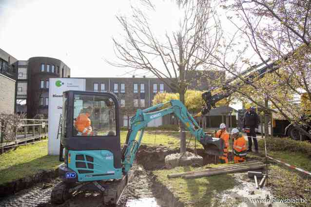 Lindeboom voor OCMW-campus Groenlaan in plaats van betonnen verharding