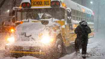 Snowy weather causes bus cancellations, school closures in rural Thunder Bay