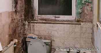 Family's 'gut-wrenching' bathroom transformed by charity that saves lives every day