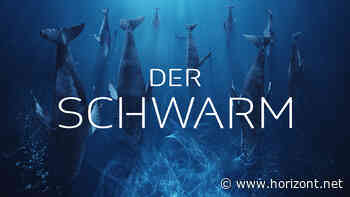 ZDF-Serie: "Der Schwarm" kommt ins britische Fernsehen - Verhandlungen in USA