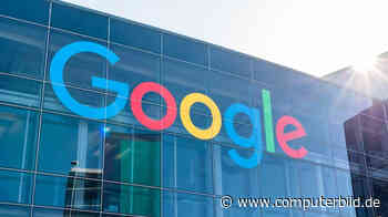 Im Eiltempo: Google entwickelt neue KI-Suche