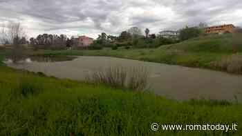 Le palazzine con affaccio sul "laghetto" di liquami