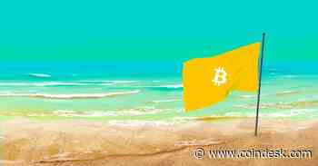 Bitcoin Beach’s Pioneering Circular Economy Is Making a Global Impact