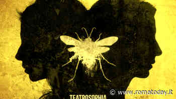 The Wasp, Margot Theatre Company