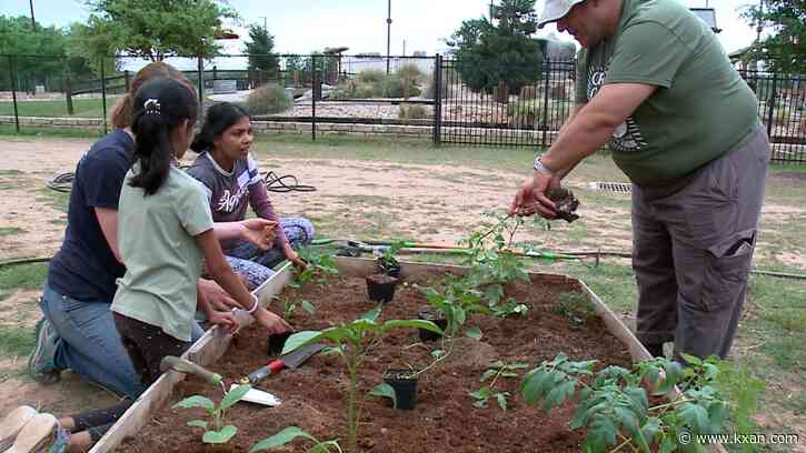 How an Austin-based nonprofit is providing Texans access to nutritious food