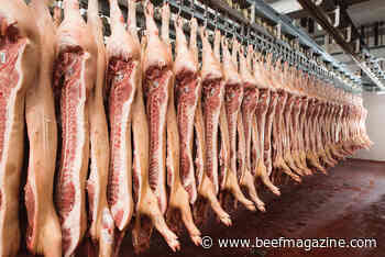 USDA takes steps to prevent illegal child labor in food supply chain