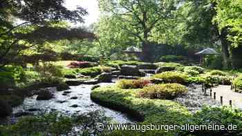 Botanischer Garten in Augsburg: Japangarten bleibt drei Tage geschlossen