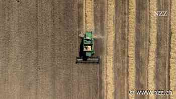 Begrenzte Solidarität: Osteuropas Bauern begehren gegen ukrainische Getreideimporte auf