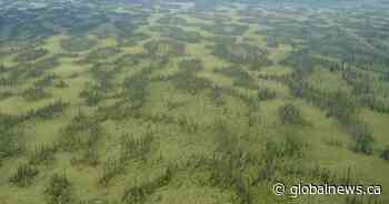 Alberta regulator reconsiders Fort Hills oilsands approval after critical report