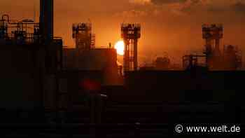 „Viel Wunschdenken“ – BDI-Chef Russwurm hält Scholz für realitätsfremd