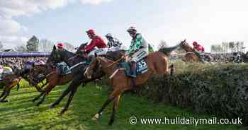Grand National horse death blamed on 'ignorant' animal rights protesters