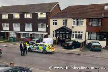Sutherland Road Belvedere stabbing: Pictures from scene